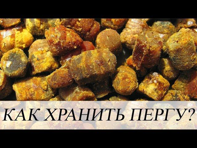 КАК ХРАНИТЬ ПЕРГУ