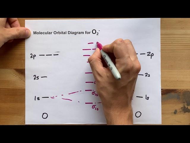 Molecular Orbital (MO) Diagram for O2(-)