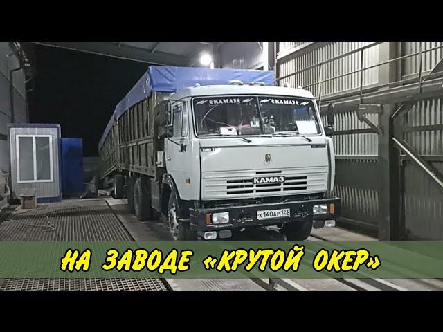 Покажу выгрузку на заводе...  Везу семечку в Белую Глину... Камаз зерновоз