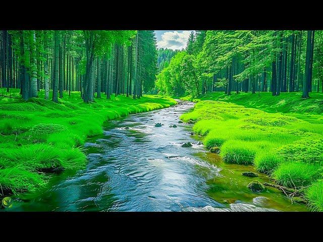 Relaxing Music to Relieve Stress, Anxiety and Depression • Mind, Body - Relax and Sleep