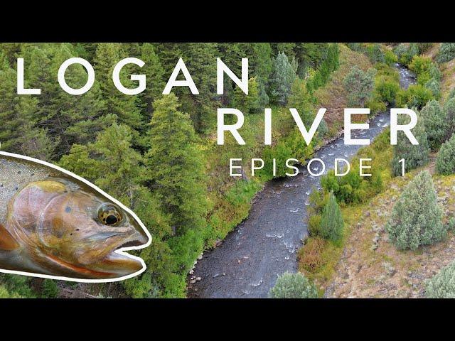 Rating Rivers Episode 1: The Logan River (Utah Fly Fishing)*2023*