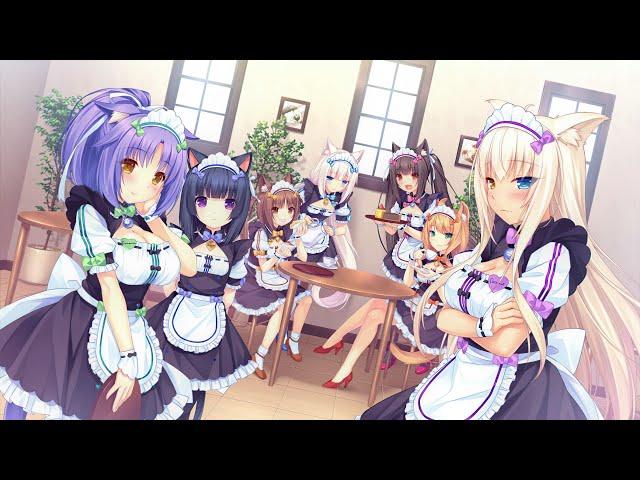 NekoPara Vol 1 - Полное прохождение без комментариев (18+)