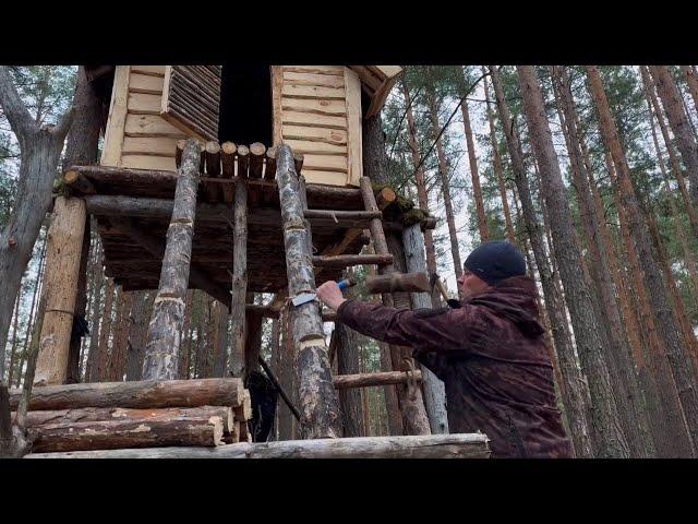 Building My Dream Treehouse in the Wild Forest | Off-Grid Adventure & DIY Survival Shelter. Part 8