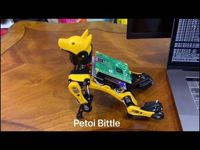 Build Your Own Alexa-Controlled Robot Dog with Raspberry Pi | PetoiCamp