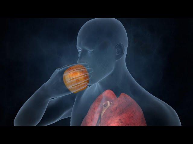 The Effects of Natural Sugar vs. Refined Sugar in the Body