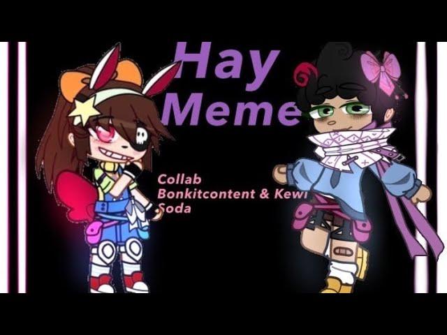 HAY meme || COLLAB With Kewl Soda & Bonkitcontent || original by Windleaf ||TW : flashing lights