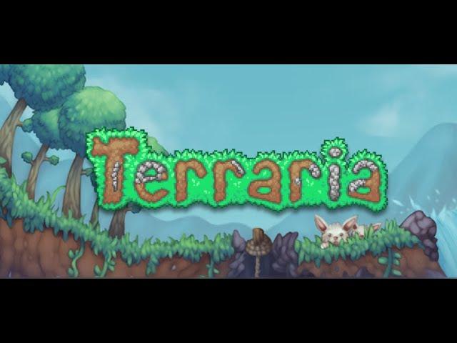 Terraria / All Achievements Completed