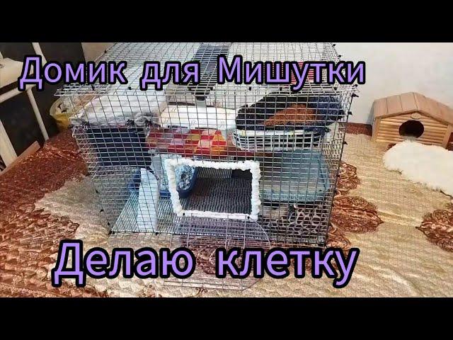 Клетка для крыс своими руками/новый дом для Мишутки #моилюбимки #листиккексикмишутка#твимз #крысы