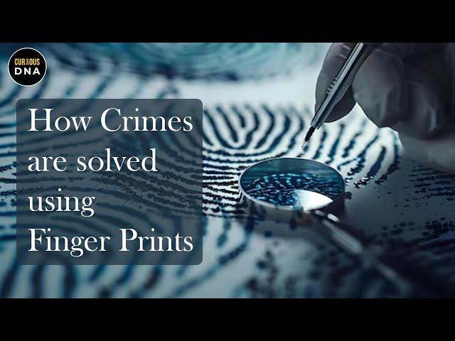 How Crimes are solved using Finger Prints | Finger Print Analysis | Forensic Science