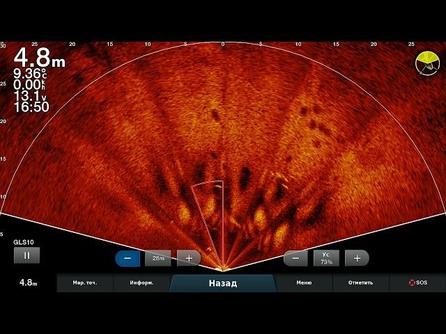 Сазаны на Лайвскопе ...видно зачетно!  Garmin LiveScope