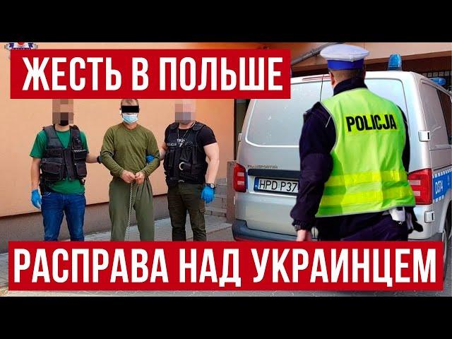 В Польше украинец выпил с поляками и вот что получилось! Новые подробности!