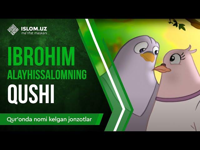 06. Ibrohim alayhissalomning qushi (2-qism) | Qur'onda nomi kelgan jonzotlar