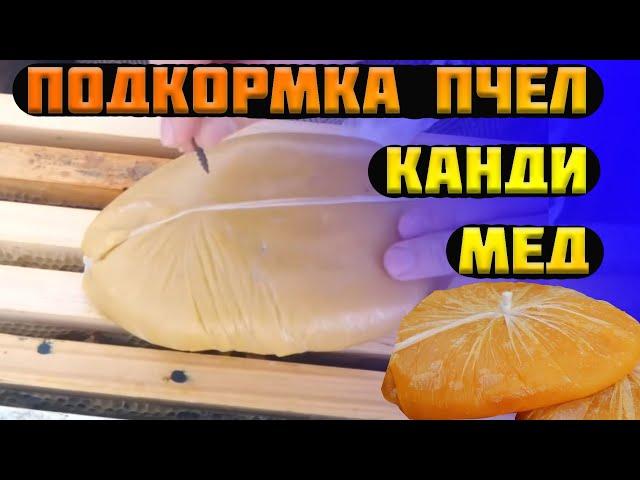 Зимняя подкормка пчел. Подкормка пчел зимой Канди или Мед