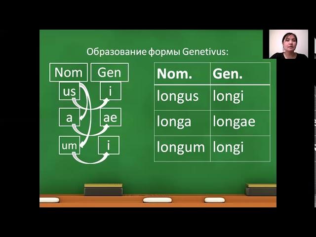 согласование прилагательного с существительным