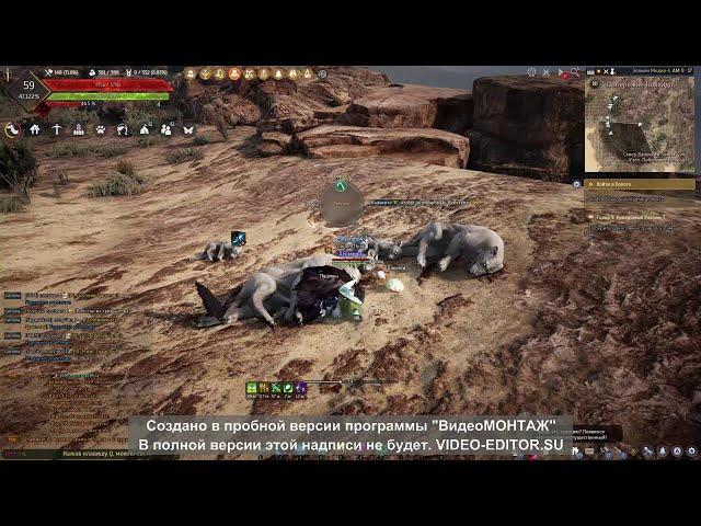 Black Desert Сбор 12 к мяса льва Новичок\gathering lion meat newbie BDO