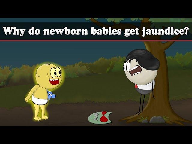 Why do babies get jaundice? | #aumsum #kids #science #education #children