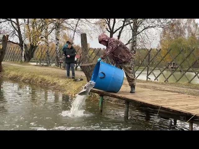 Запуски в Усадьбе