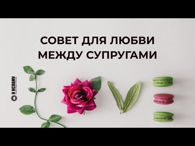 Совет для любви между супругами. Ринат Абу Мухаммад