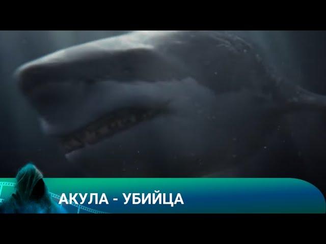 ГИГАНТСКАЯ АКУЛА ПЫТАЕТСЯ УБИТЬ ИХ ВСЕХ! Акула - убийца! Лучшие фильмы!