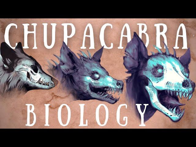 Chupacabra Biology Explained | The Science of the Chupacabras