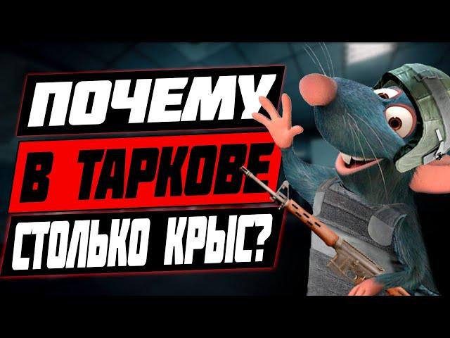 Как бороться с крысами в Таркове? Откуда их столько в Escape From Tarkov?