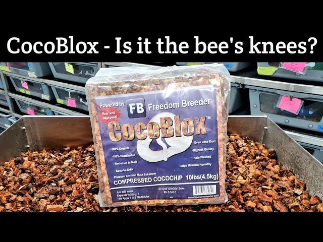 Freedom Breeder CocoBlox Bedding and How it Compares to Reptichip and Prococo