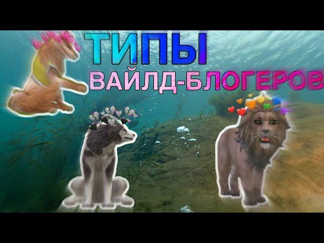 ТИПЫ ВАЙЛД-БЛОГЕРОВ || WildCraft