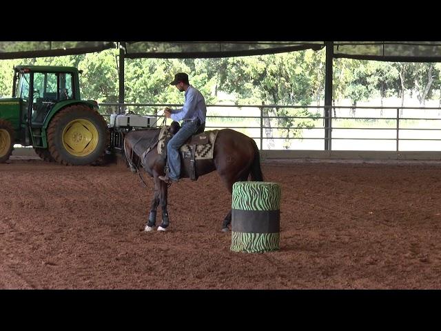 Brandon Cullins   Fix a Horse that Bows Off of the Barrel