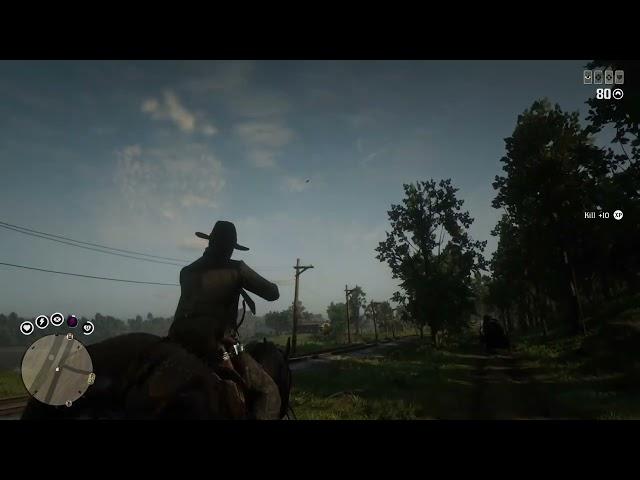 RED DEAD ONLINE:AM VANDUT PRODUSE VALOROASE SI AM GASIT O STICLA