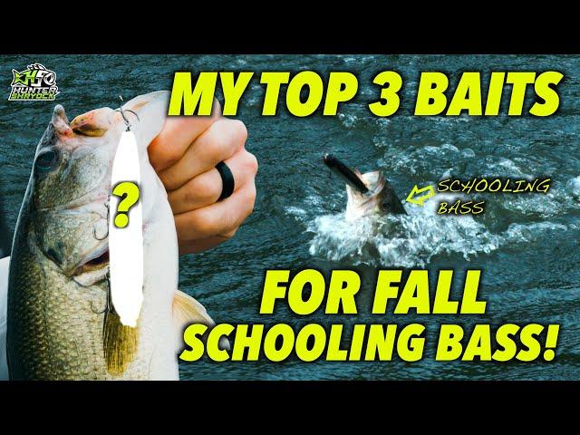 My TOP 3 Baits for Fall Schooling Bass!