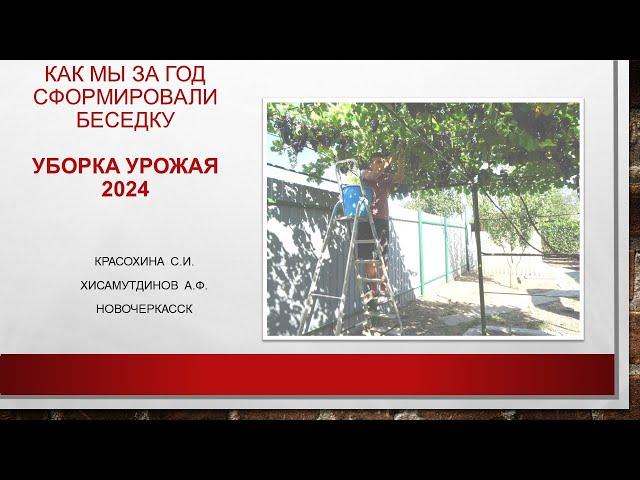 Уборка урожая на беседке, съемка 25.08.2024@Krasokhina