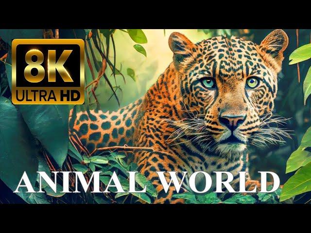 ANIMAL WORLD 8K ULTRA HD - Amazing Wildlife