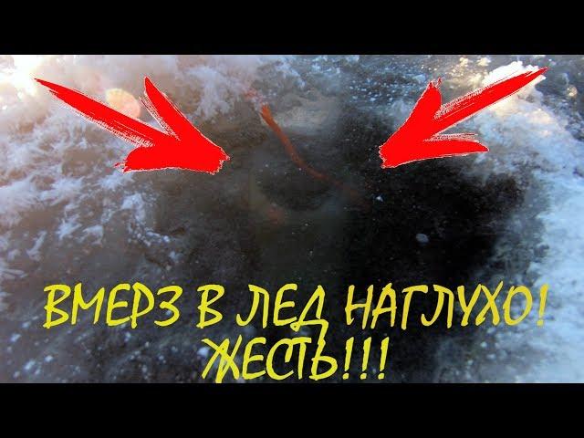 Термос для рыбалки и туризма STANLEY! Испытание термоса МОРОЗИЛЬНОЙ КАМЕРОЙ и ЛЕДЯНЫМИ ОКОВАМИ!