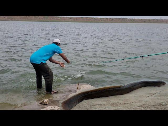 "Effective Float fishing Techniques for Catching SNAKEHEAD FISH"Single Hook float fishing Snakehead