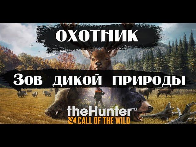 The hunter: Call of the wild. Идем по зову природы.