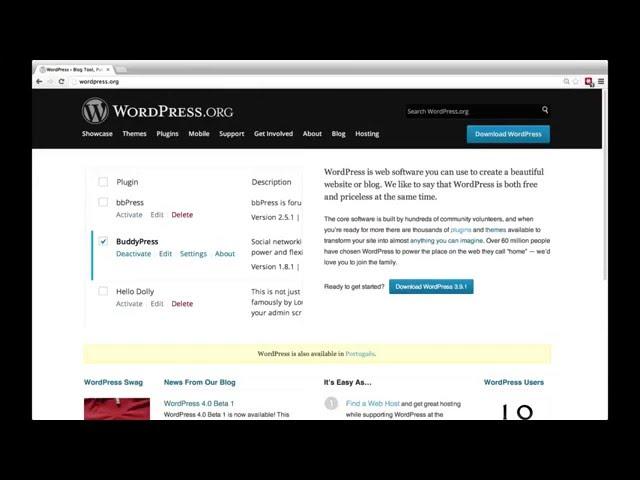 wordpress multilingual