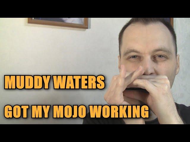 Как играть Muddy Waters - Got My Mojo Working на губной гармошке