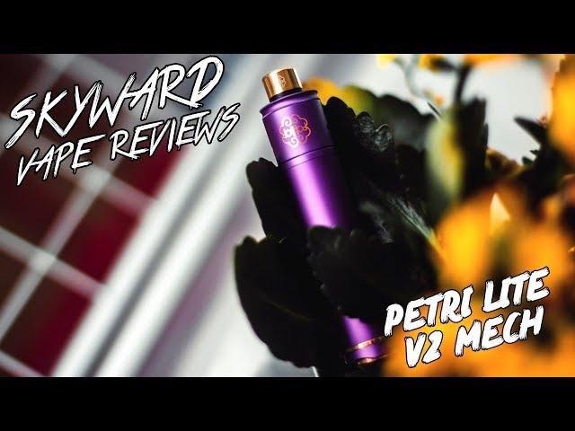 ОБЗОР МЕХА PETRI V2 LITE 24 MM BY DOTMOD | Летний повседнев