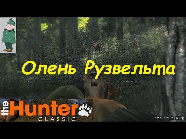 the Hunter Classic. Охота на оленя Рузвельта.