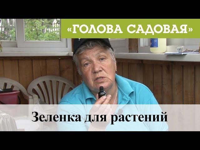 Голова садовая - Зеленка для растений