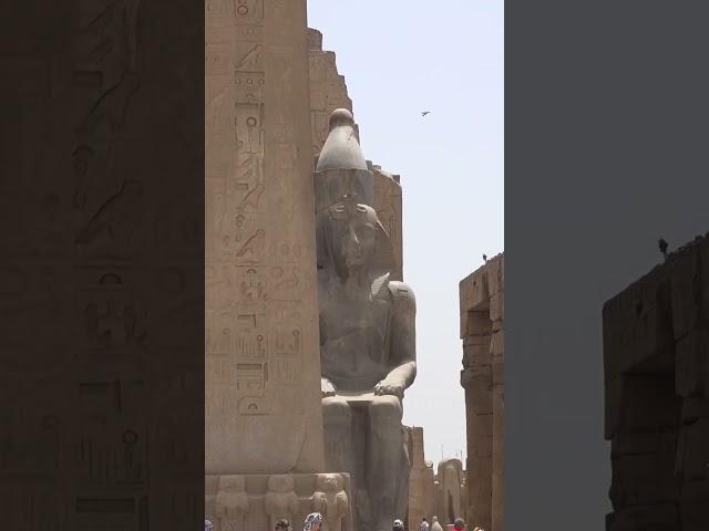 Surrounding Luxor Temple / ​ Exploring Ancient Egypt #shorts