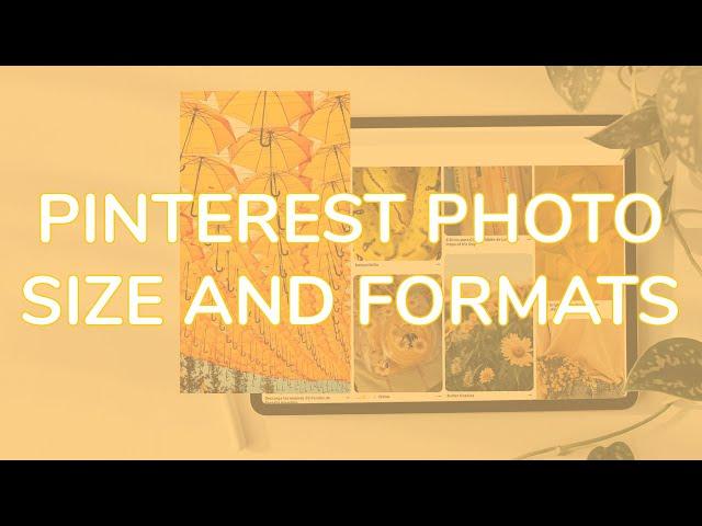  Pinterest photo size and formats