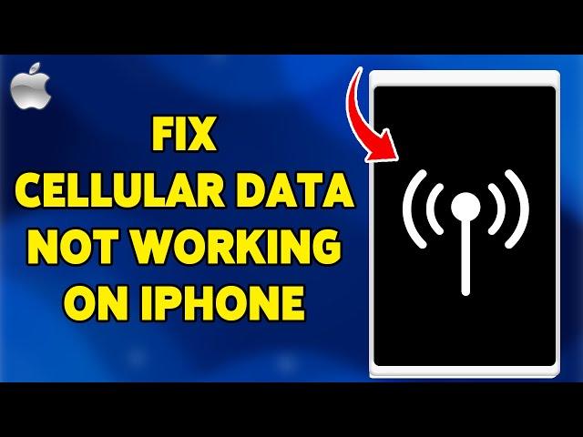 How To Fix Cellular Data Not Working On iPhone 2024 | Troubleshoot Your Mobile Connection Issues