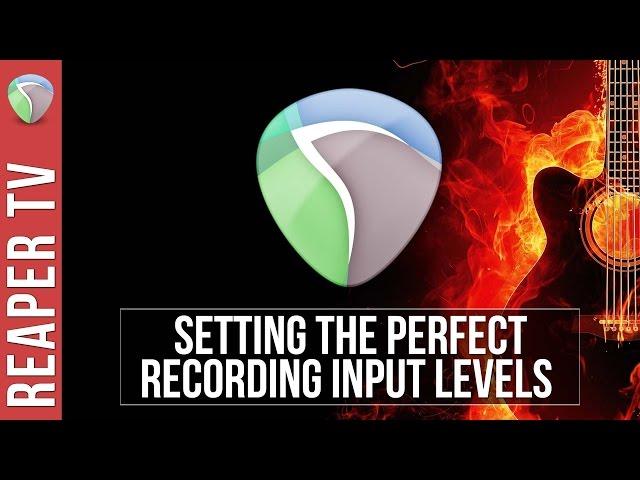 REAPER: Setting Optimal Recording Levels