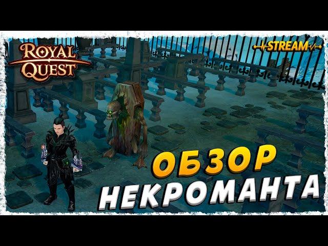 ЧЕРНОКНИЖНИК►ОБЗОР И БИЛД◄ROYAL QUEST