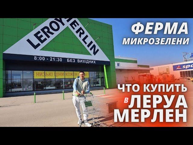 микрозелень  бизнес что купить в  леруа мерлен Зеленый шеф