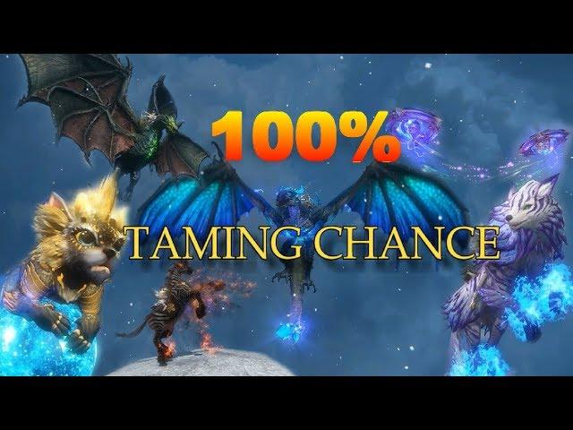 How To Get Over 100% Taming Chance - Riders of Icarus