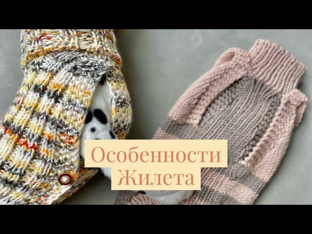 Жилет для собаки