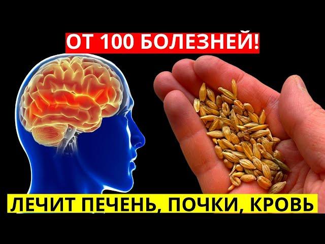 ЛЕЧИТ 100 БОЛЕЗНЕЙ: печень, почки, бронхит, грипп, кашель, чистит кровь, укрепляет иммунитет