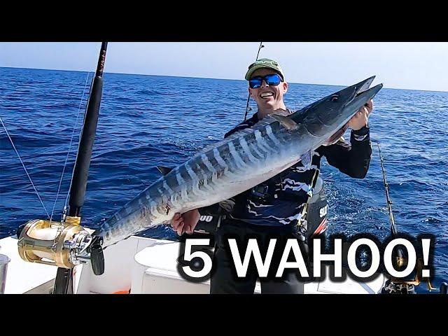 Our BEST Wahoo Trip Yet! High Speed Trolling and Medium Speed Trolling!